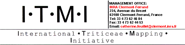ITMI homepage